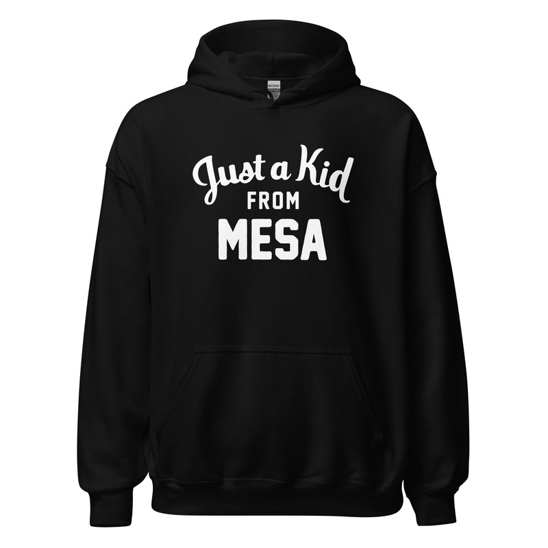 Unisex Black Hoodie Sweatshirt | Mesa