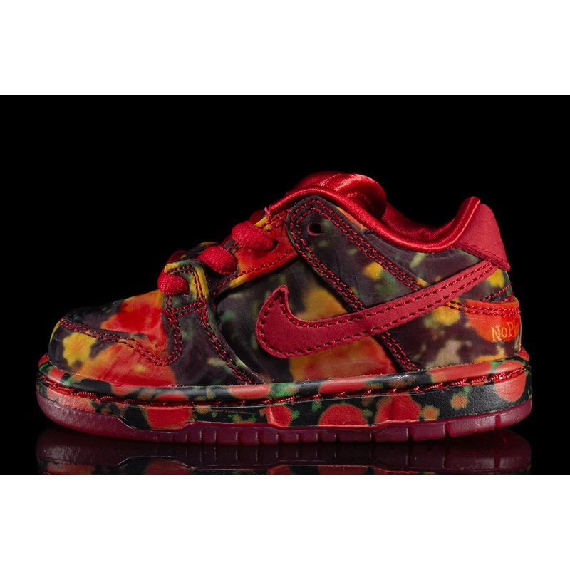 Dunk Low Pro x The Wizard Of Oz (TD)