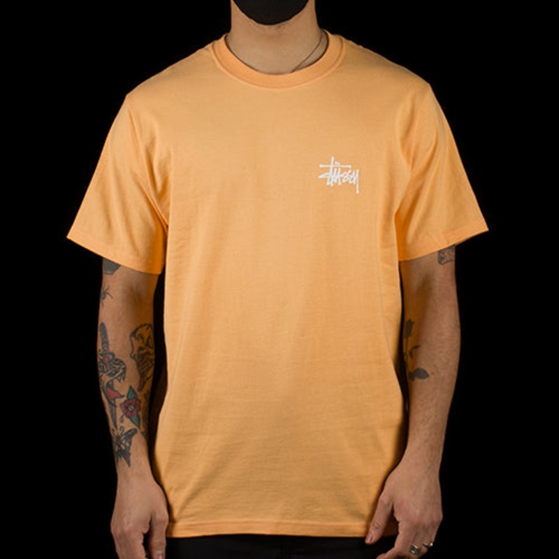 Basic Stussy T-Shirt