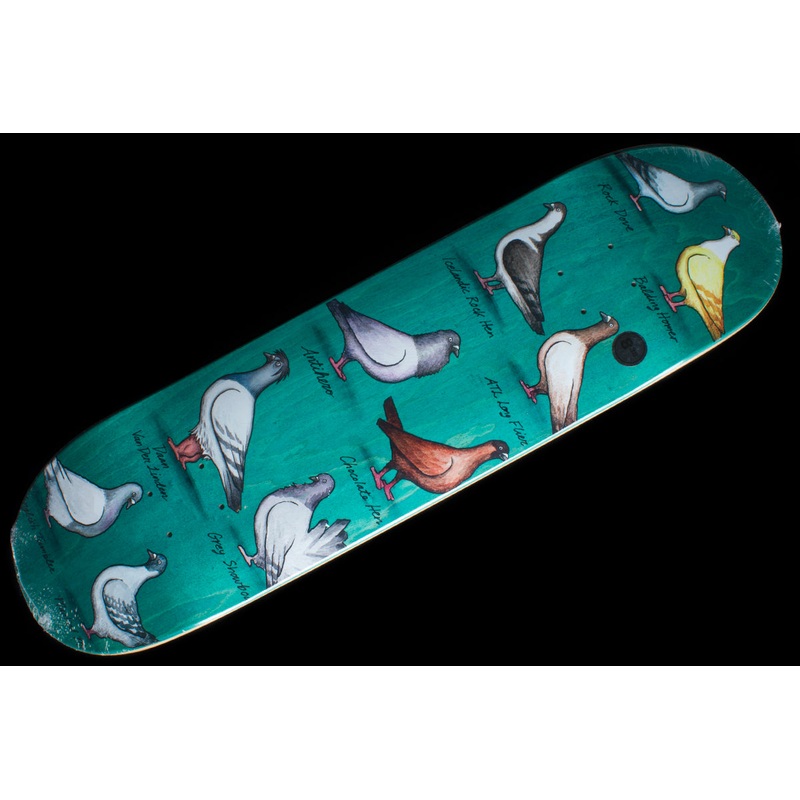 Daan Show Pigeons Deck Teal 8.38