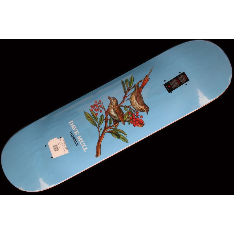 Hermit Thrush Deck 8.25″