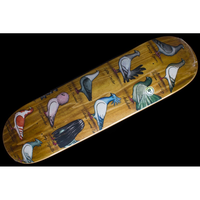 Trujillo Show Pigeons Deck Brown 8.5