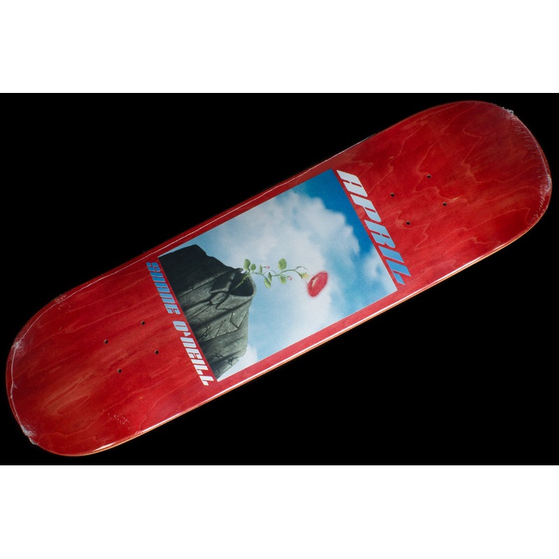 Shane Rocked Deck