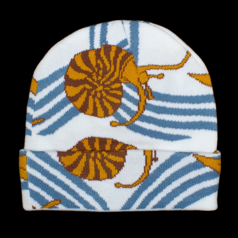Snail Trail Beanie