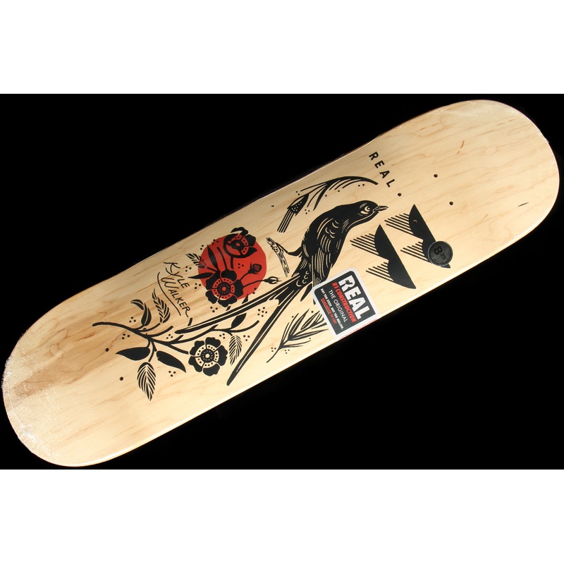 Kyle – Mudgett Deck 8.25″