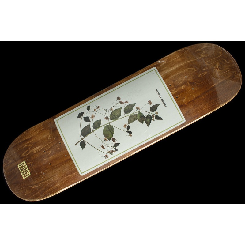 Invasive Species – Lantana Camara Deck 8.5″