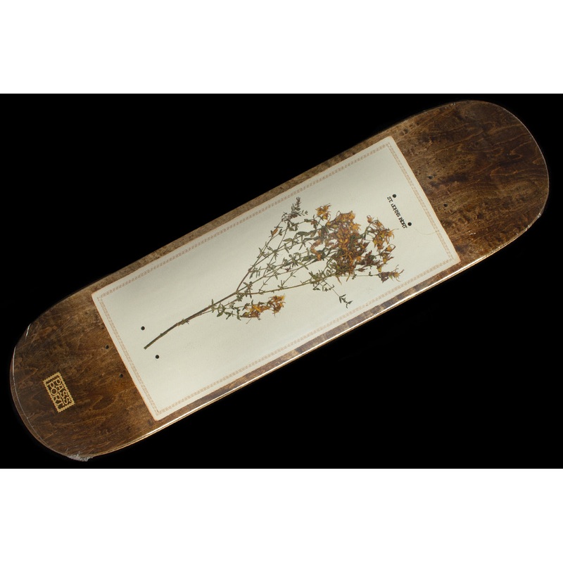 Invasive Species – St. John’s Wort Deck 8.38″