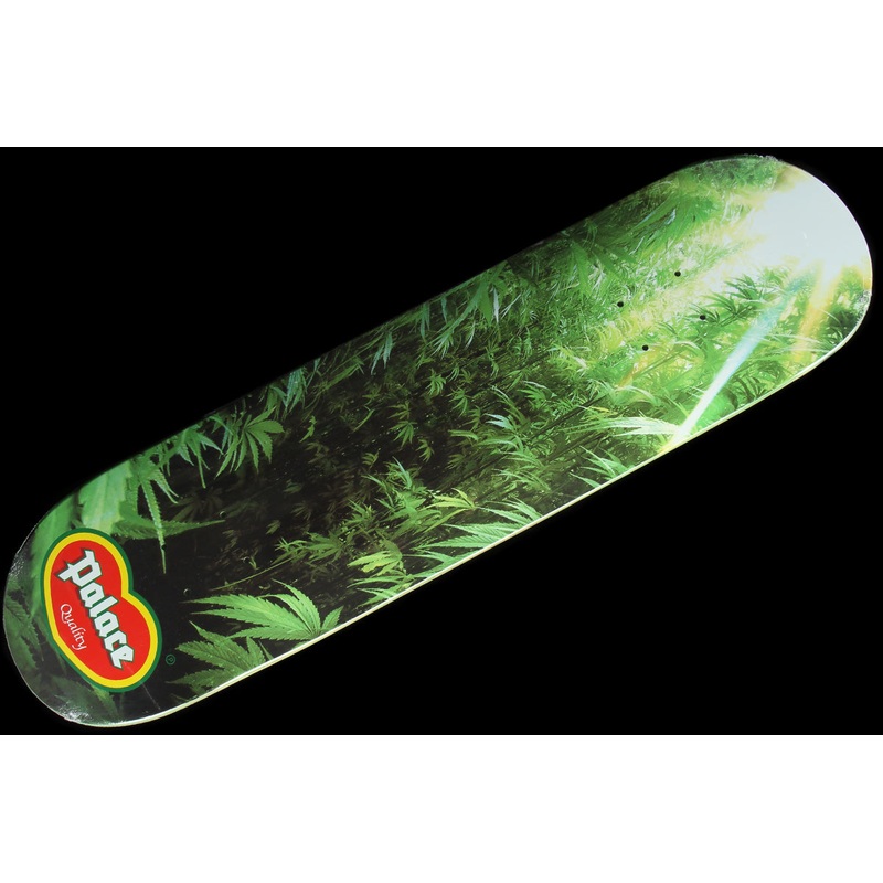 Quality Deck 8.1″
