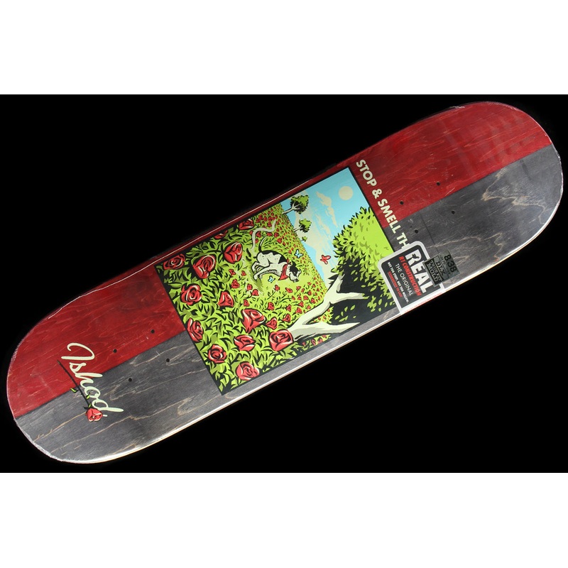 Ishod – Brightside Deck (TF) 8.38″