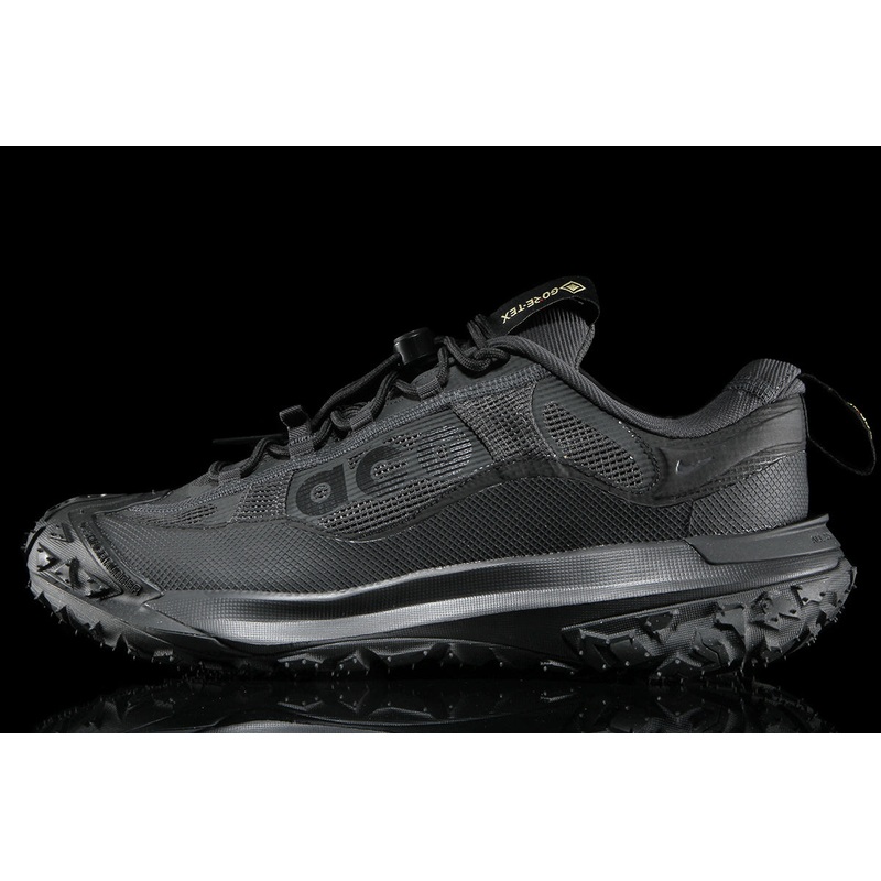 ACG Mountain Fly 2 Low Gore-Tex