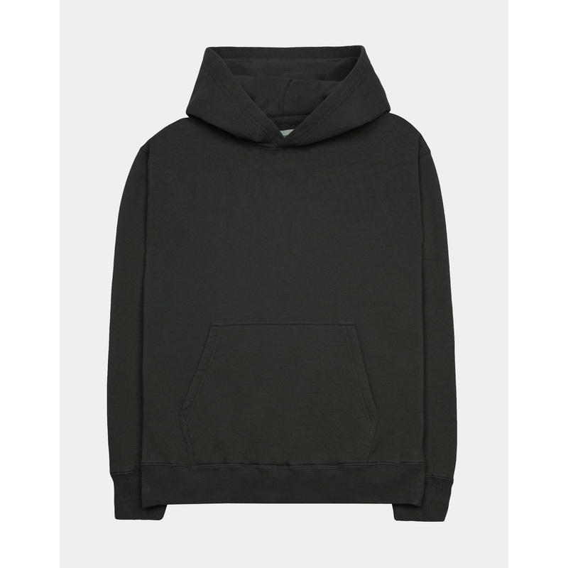 Sasha Womens Hoodie (Washed Black)