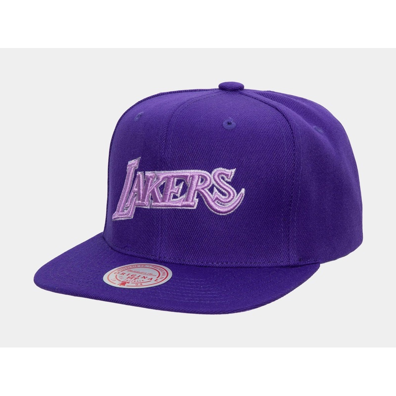 Los Angeles Lakers Monochromatic Snapback Mens Hat (Purple)